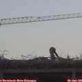 09_55-mast.jpg