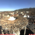 09_55-nest.jpg