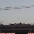 10_00-mast.jpg