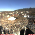 10_00-nest.jpg