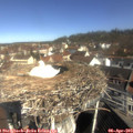 10_20-nest.jpg