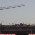 10_25-mast.jpg