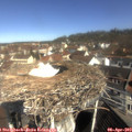 10_25-nest.jpg