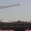 10_35-mast.jpg