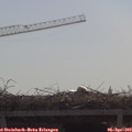 10_40-mast.jpg