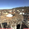 10_40-nest.jpg