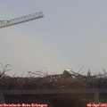 10_45-mast.jpg
