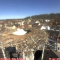 10_45-nest.jpg