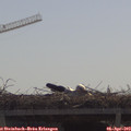10_50-mast.jpg