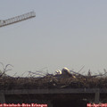 10_55-mast.jpg
