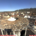 11_00-nest.jpg