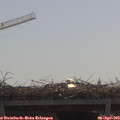 11_05-mast.jpg
