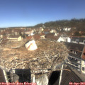 11_10-nest.jpg