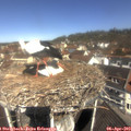 11_15-nest.jpg