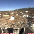 11_20-nest.jpg