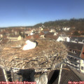 11_25-nest.jpg