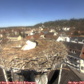 11_30-nest.jpg