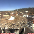 11_35-nest.jpg