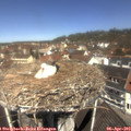 11_40-nest.jpg