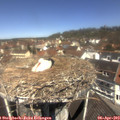 11_45-nest.jpg