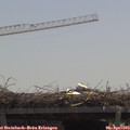 12_00-mast.jpg