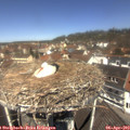 12_00-nest.jpg