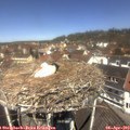 12_05-nest.jpg