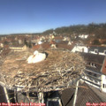12_10-nest.jpg