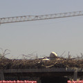12_15-mast.jpg