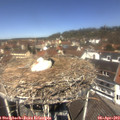12_15-nest.jpg