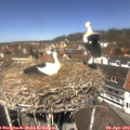 12_30-nest.jpg
