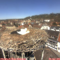 12_35-nest.jpg