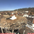12_45-nest.jpg