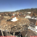 12_55-nest.jpg
