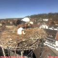 13_05-nest.jpg
