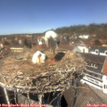 13_20-nest.jpg