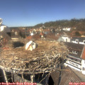 13_25-nest.jpg