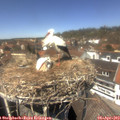 13_30-nest.jpg