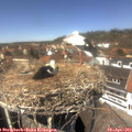 13_35-nest.jpg