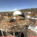 13_45-nest.jpg