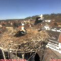 13_50-nest.jpg