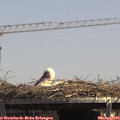 14_00-mast.jpg