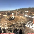14_00-nest.jpg