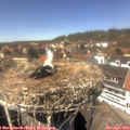 14_05-nest.jpg