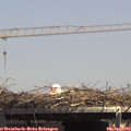 14_20-mast.jpg