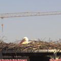14_35-mast.jpg
