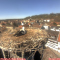 14_35-nest.jpg