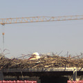 14_40-mast.jpg
