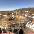 14_40-nest.jpg
