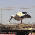 14_45-mast.jpg
